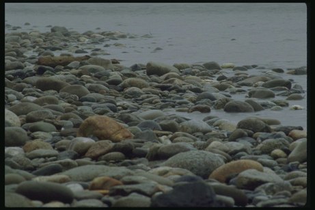kamienie na brzegu morza, foto