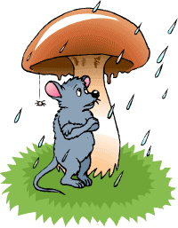 mysz pod grzybem, padający deszcz, rysunek