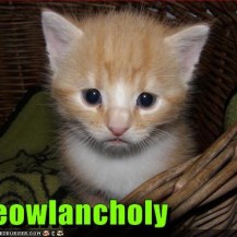 Meowlancholy - Cat
