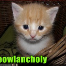Meowlancholy - Cat